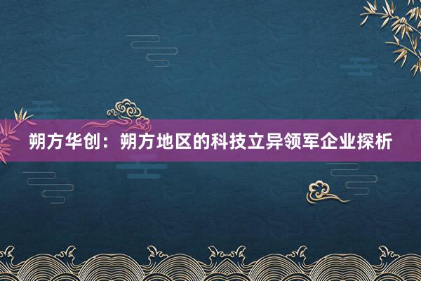 朔方华创：朔方地区的科技立异领军企业探析